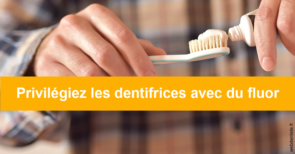 https://www.dentistes-lafontaine-ducrocq.fr/Le fluor 2