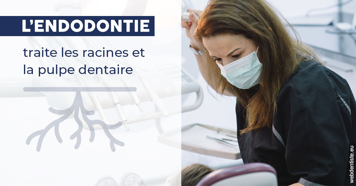 https://www.dentistes-lafontaine-ducrocq.fr/L'endodontie 1