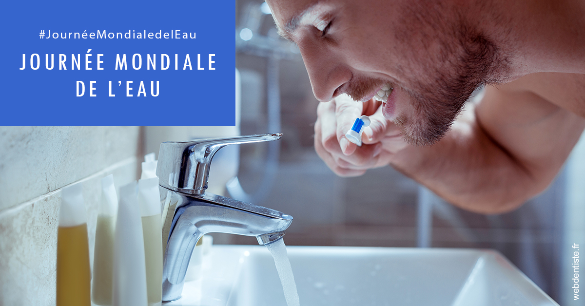 https://www.dentistes-lafontaine-ducrocq.fr/Journée de l'eau 2