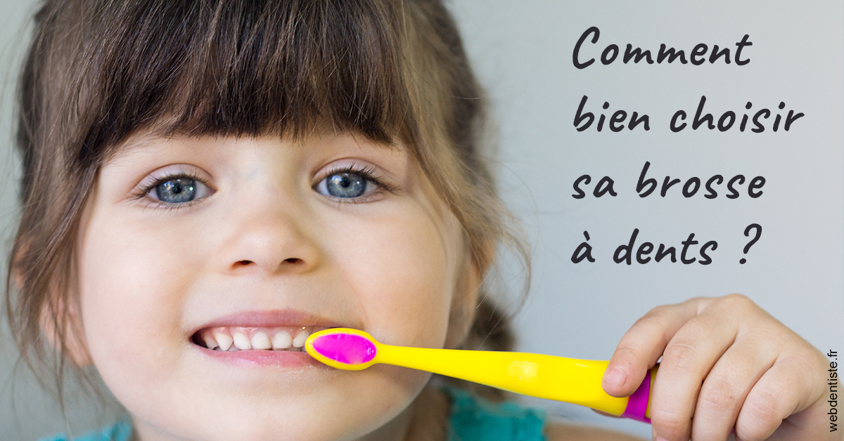 https://www.dentistes-lafontaine-ducrocq.fr/Bien choisir sa brosse 2
