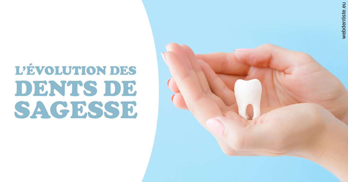 https://www.dentistes-lafontaine-ducrocq.fr/Evolution dents de sagesse 1