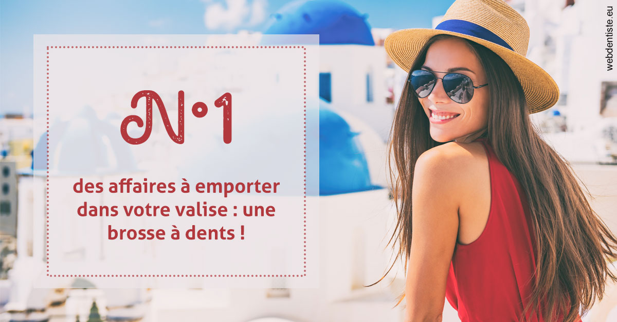 https://www.dentistes-lafontaine-ducrocq.fr/Brosse à dents valise 1