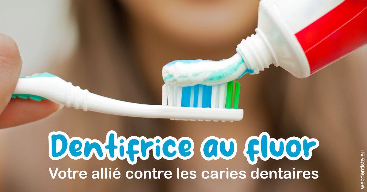 https://www.dentistes-lafontaine-ducrocq.fr/Dentifrice au fluor 1