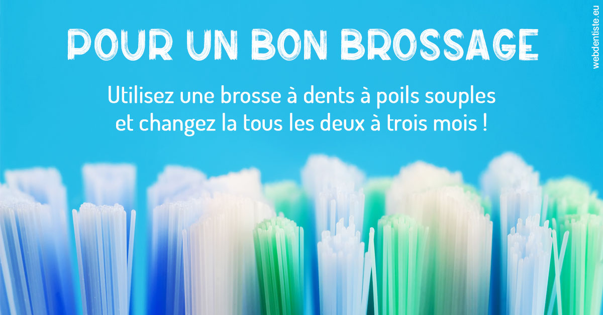https://www.dentistes-lafontaine-ducrocq.fr/Pour un bon brossage 1