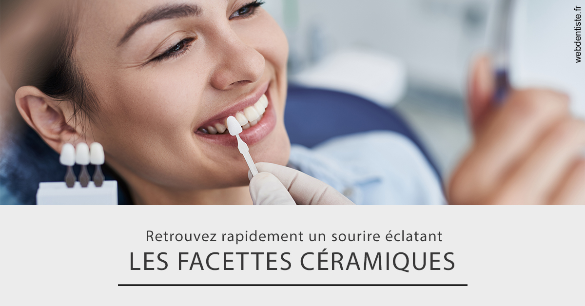 https://www.dentistes-lafontaine-ducrocq.fr/Les facettes céramiques 2