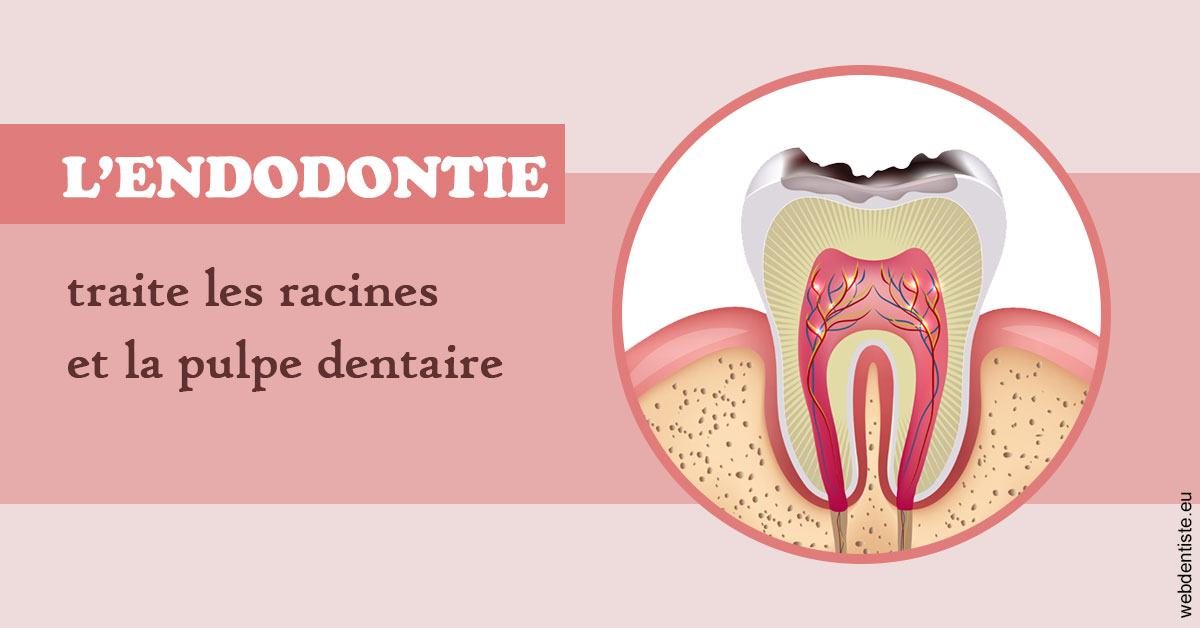 https://www.dentistes-lafontaine-ducrocq.fr/L'endodontie 2
