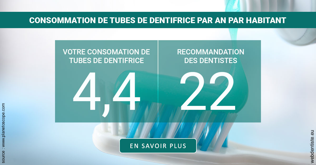 https://www.dentistes-lafontaine-ducrocq.fr/22 tubes/an 2