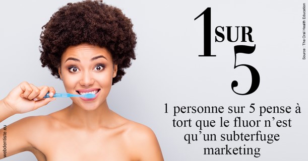 https://www.dentistes-lafontaine-ducrocq.fr/Le fluor 4