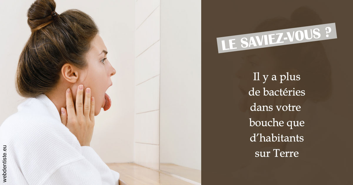 https://www.dentistes-lafontaine-ducrocq.fr/Bactéries dans votre bouche 1