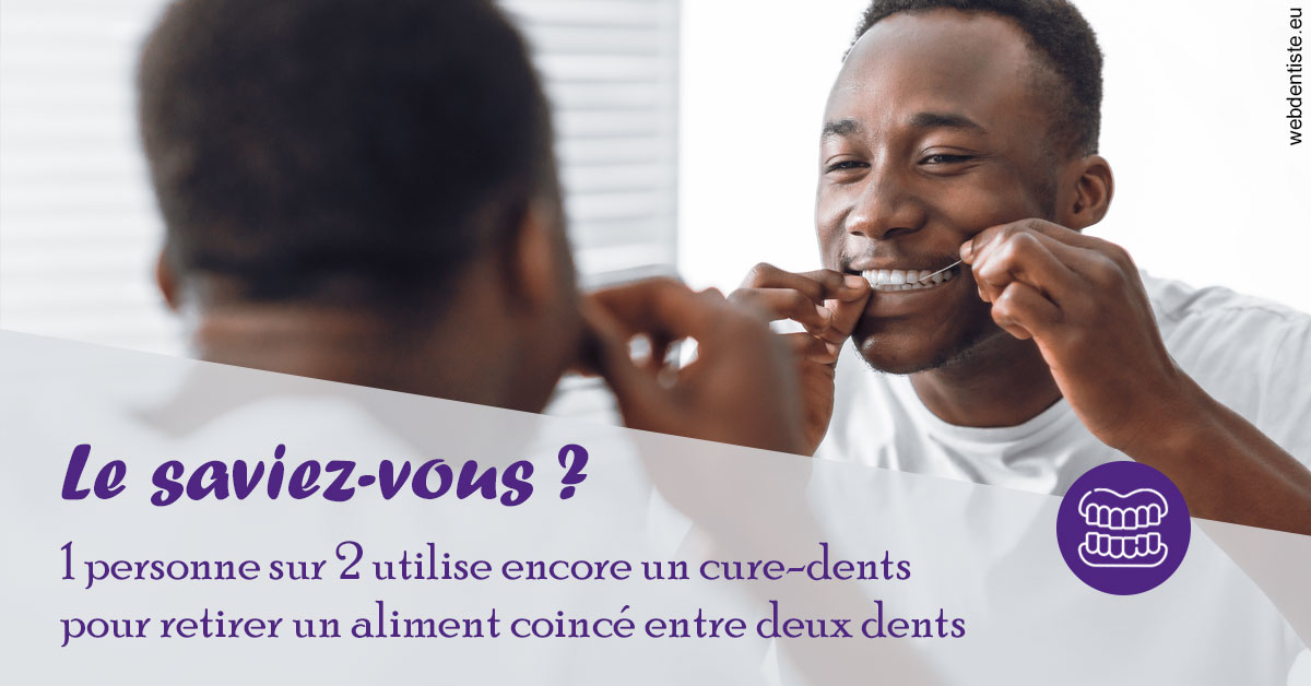 https://www.dentistes-lafontaine-ducrocq.fr/Cure-dents 2