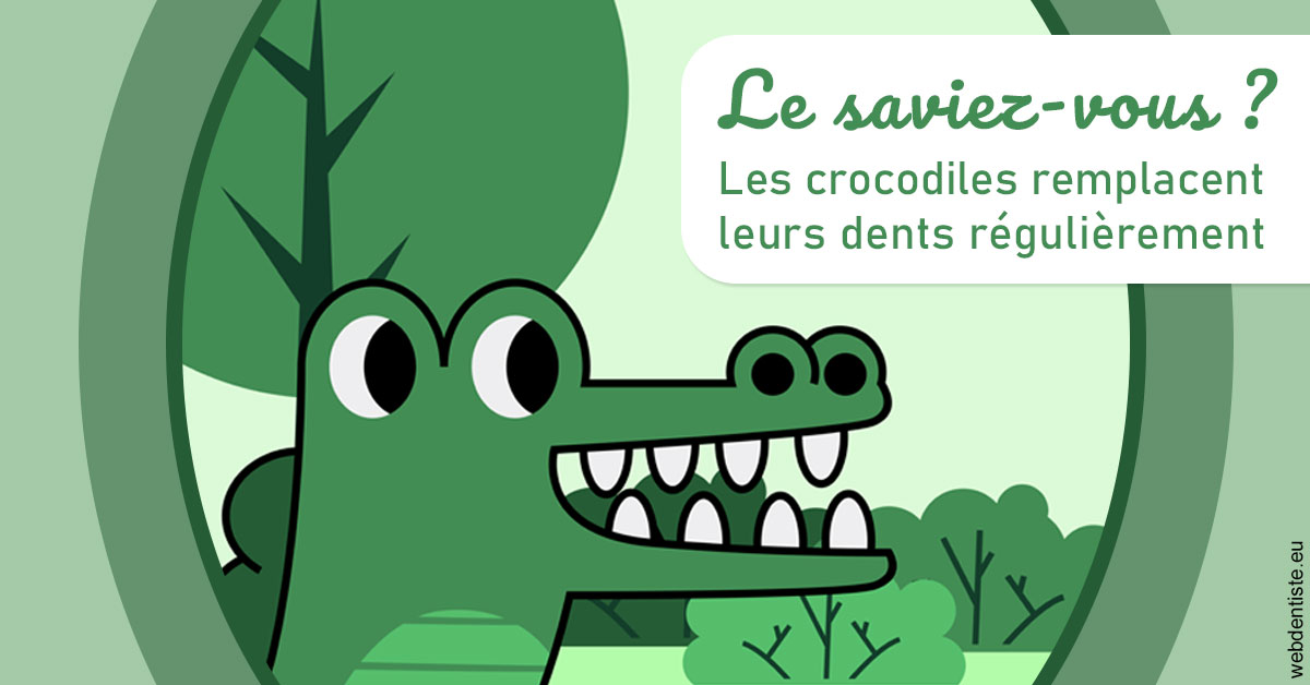 https://www.dentistes-lafontaine-ducrocq.fr/Crocodiles 2