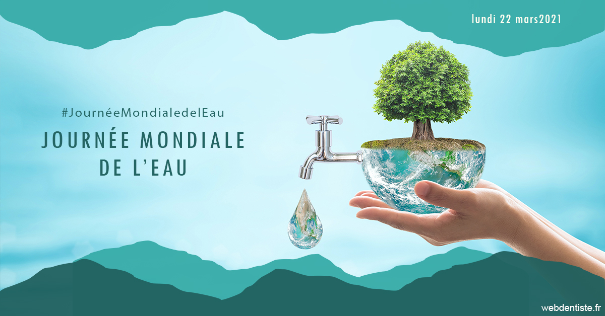 https://www.dentistes-lafontaine-ducrocq.fr/Journée de l'eau 1