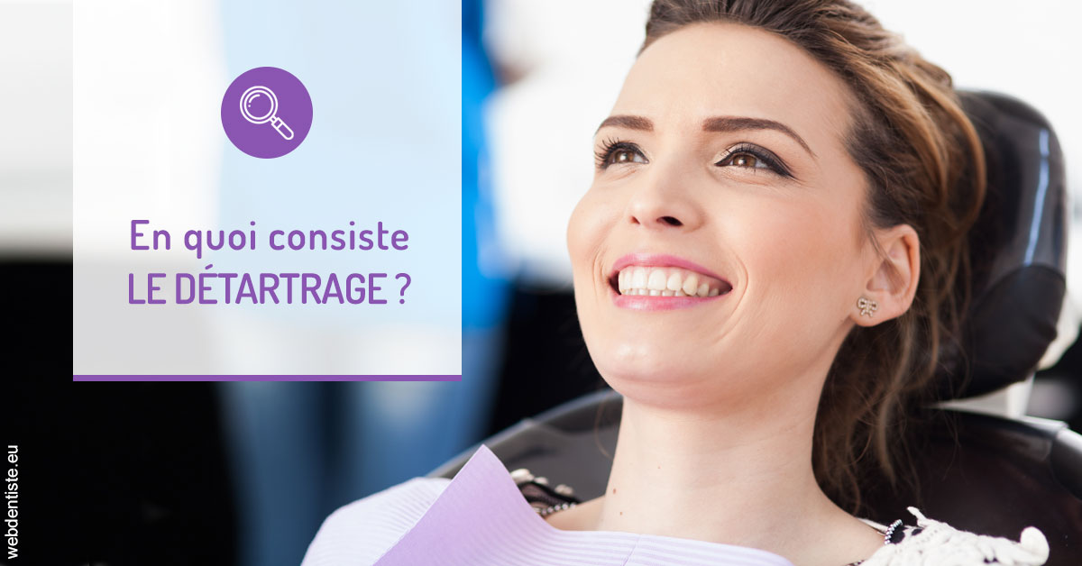 https://www.dentistes-lafontaine-ducrocq.fr/En quoi consiste le détartrage 2