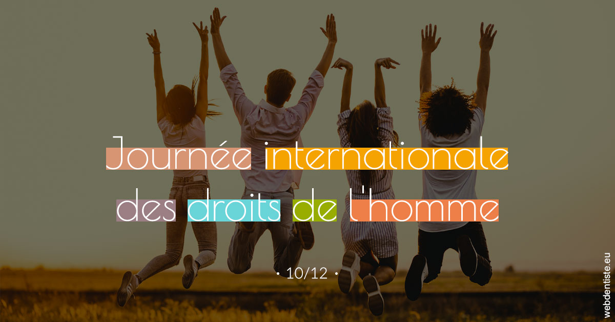 https://www.dentistes-lafontaine-ducrocq.fr/Journée des droits de l'homme 2