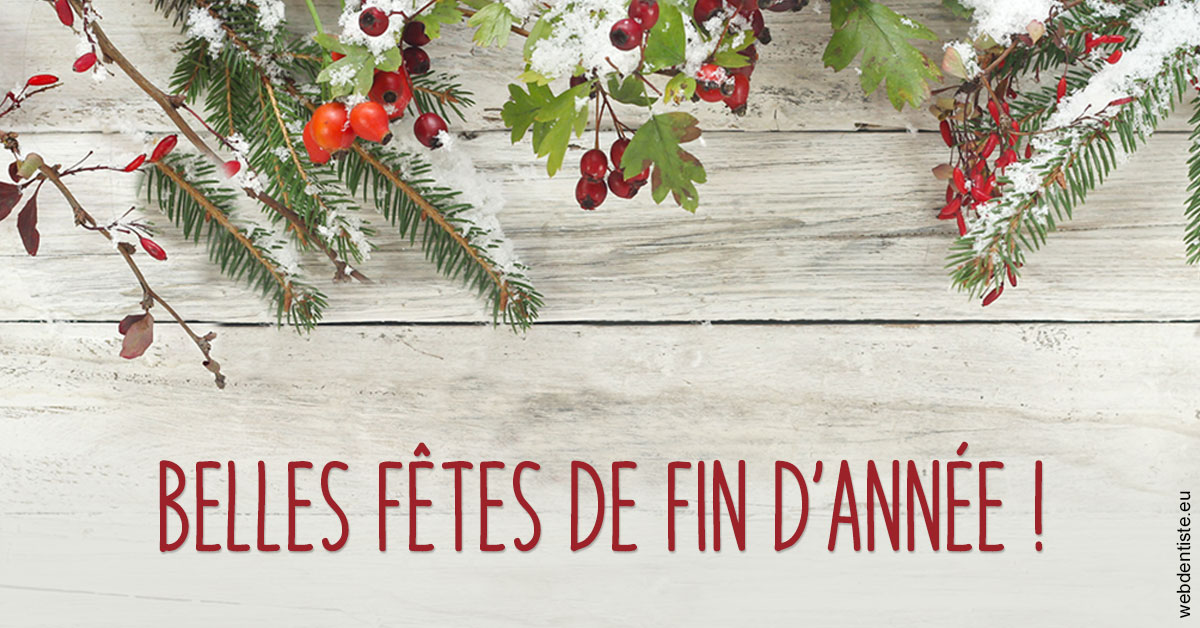 https://www.dentistes-lafontaine-ducrocq.fr/Joyeux Noël 2
