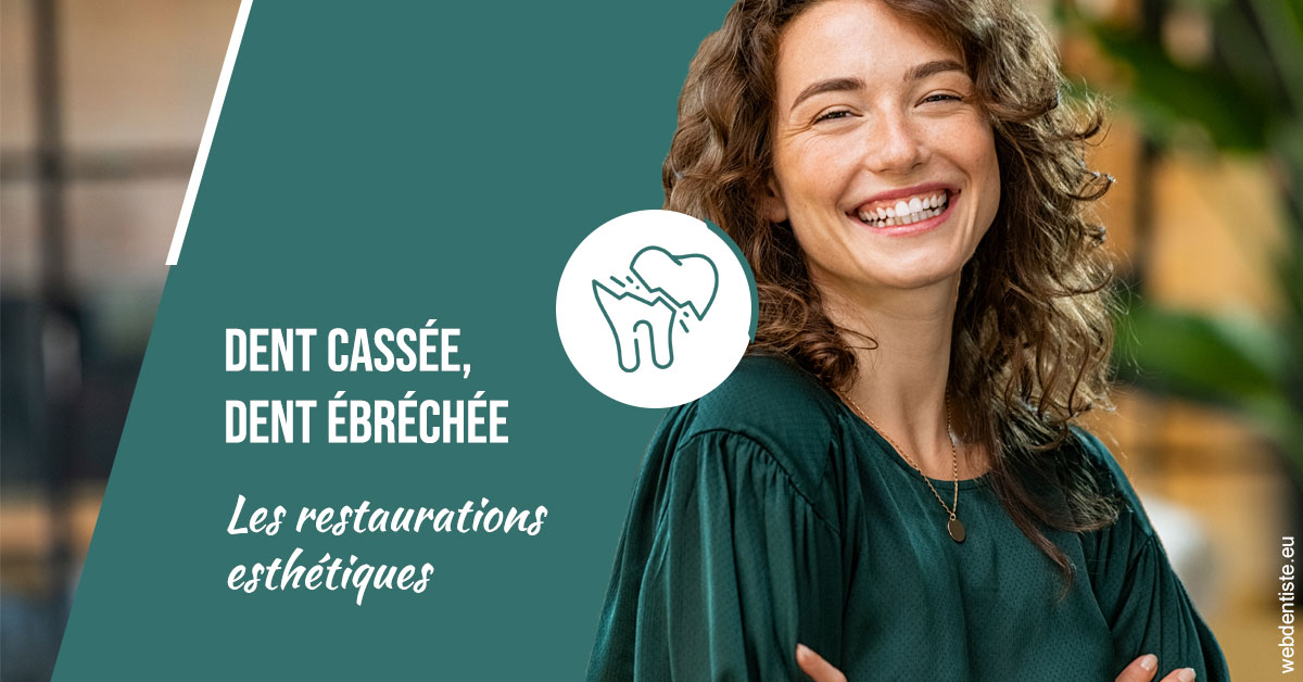 https://www.dentistes-lafontaine-ducrocq.fr/Dent cassée ébréchée 2