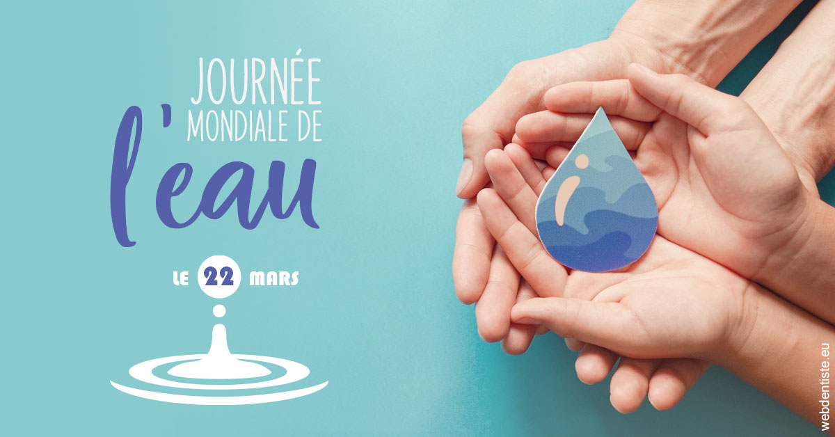 https://www.dentistes-lafontaine-ducrocq.fr/La journée de l'eau 1