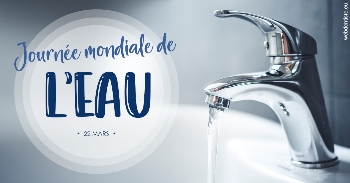 https://www.dentistes-lafontaine-ducrocq.fr/La journée de l'eau 2