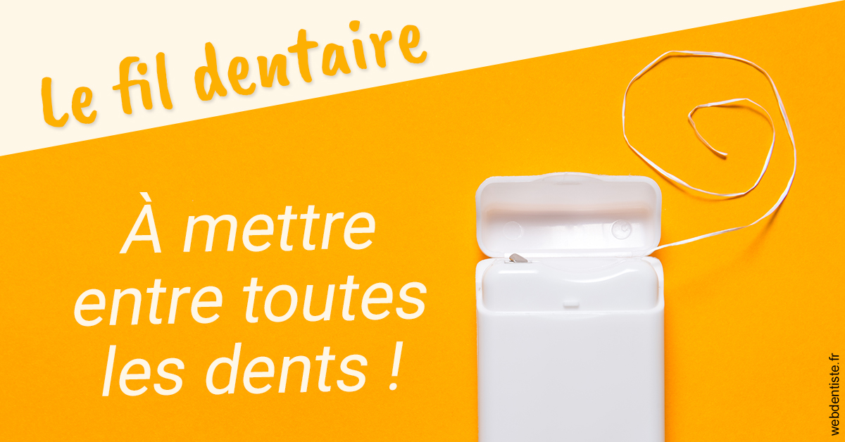 https://www.dentistes-lafontaine-ducrocq.fr/Le fil dentaire 1