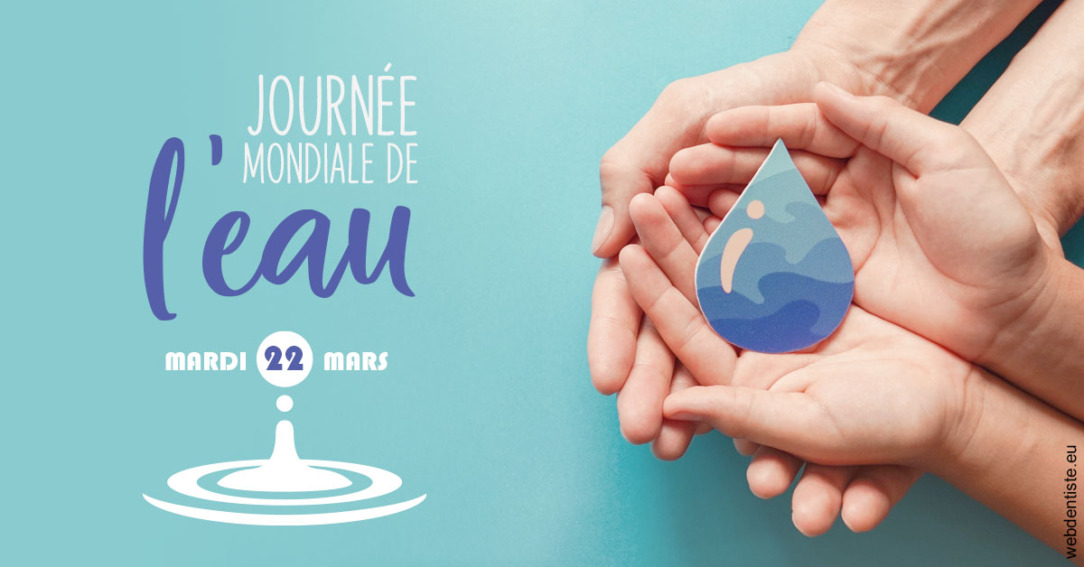 https://www.dentistes-lafontaine-ducrocq.fr/La journée de l'eau 1