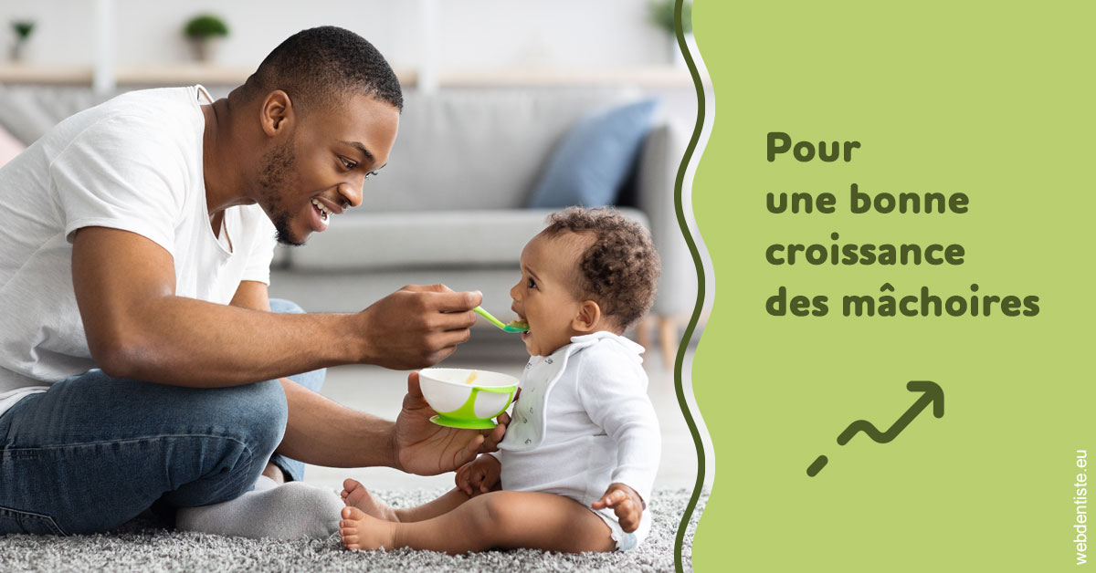 https://www.dentistes-lafontaine-ducrocq.fr/Croissance des mâchoires 1