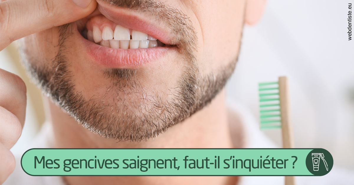 https://www.dentistes-lafontaine-ducrocq.fr/Saignement gencives 1