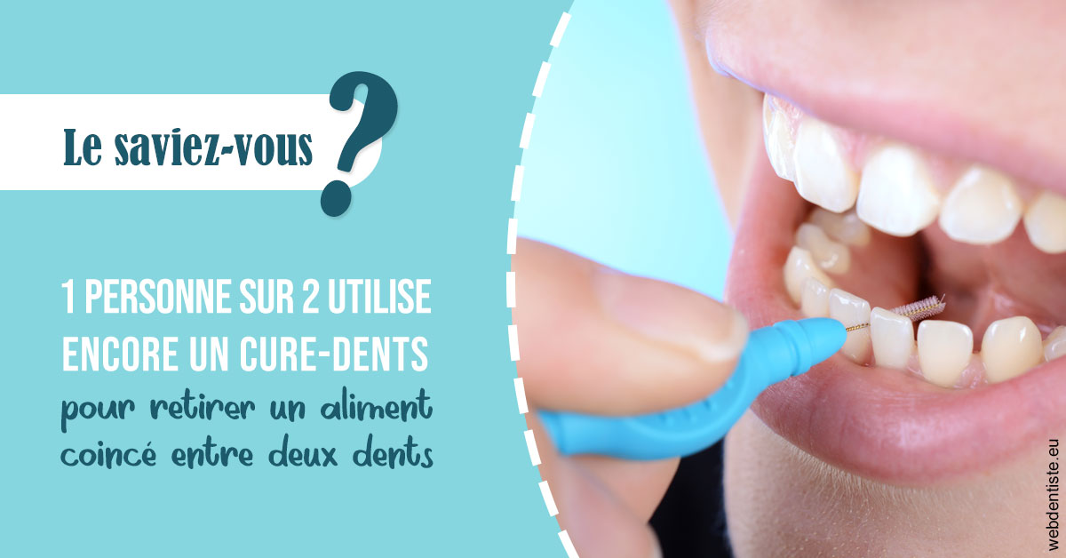 https://www.dentistes-lafontaine-ducrocq.fr/Cure-dents 1