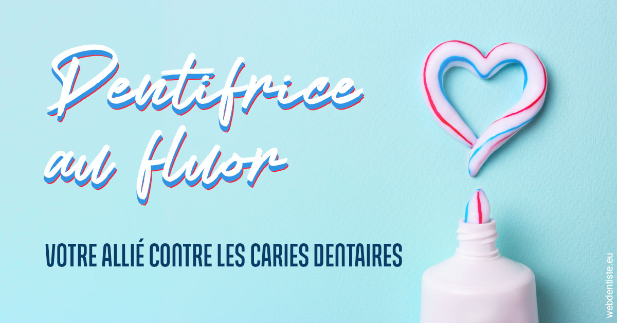 https://www.dentistes-lafontaine-ducrocq.fr/Dentifrice au fluor 2