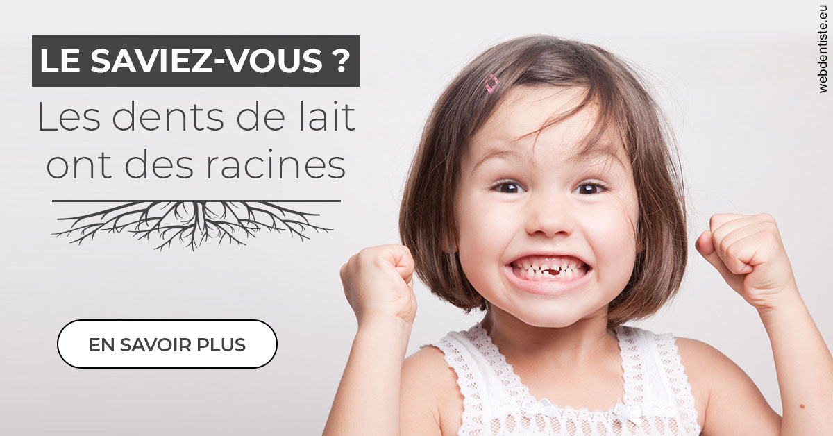 https://www.dentistes-lafontaine-ducrocq.fr/Les dents de lait
