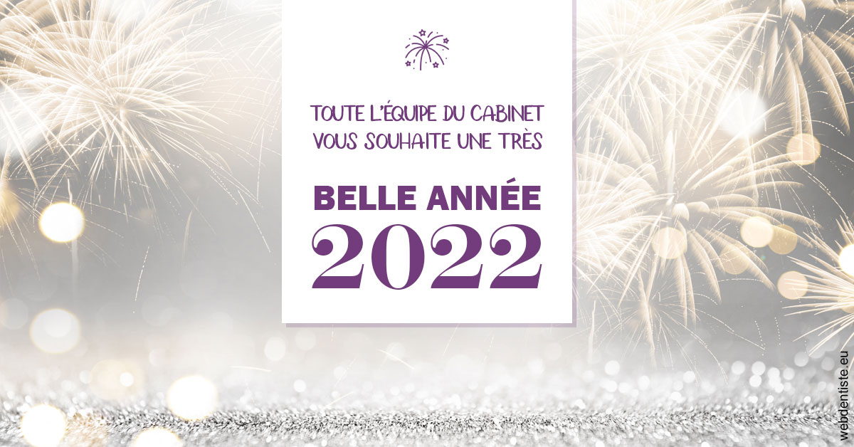 https://www.dentistes-lafontaine-ducrocq.fr/Belle Année 2022 2