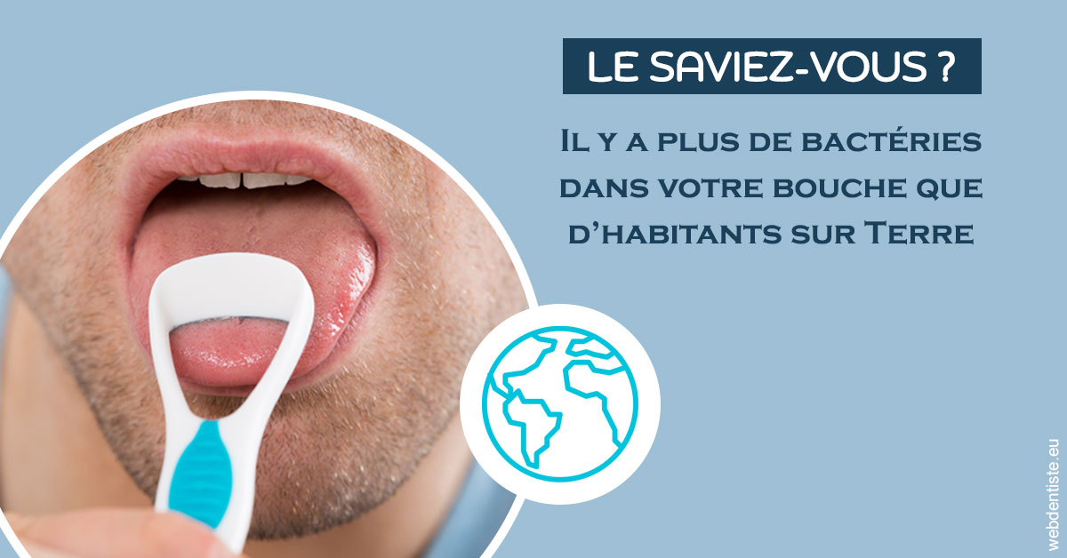 https://www.dentistes-lafontaine-ducrocq.fr/Bactéries dans votre bouche 2