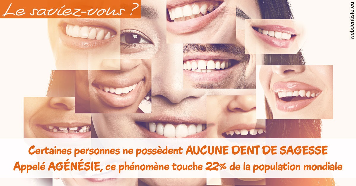 https://www.dentistes-lafontaine-ducrocq.fr/Agénésie 2