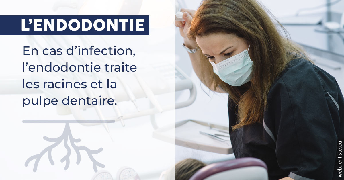 https://www.dentistes-lafontaine-ducrocq.fr/L'endodontie 1