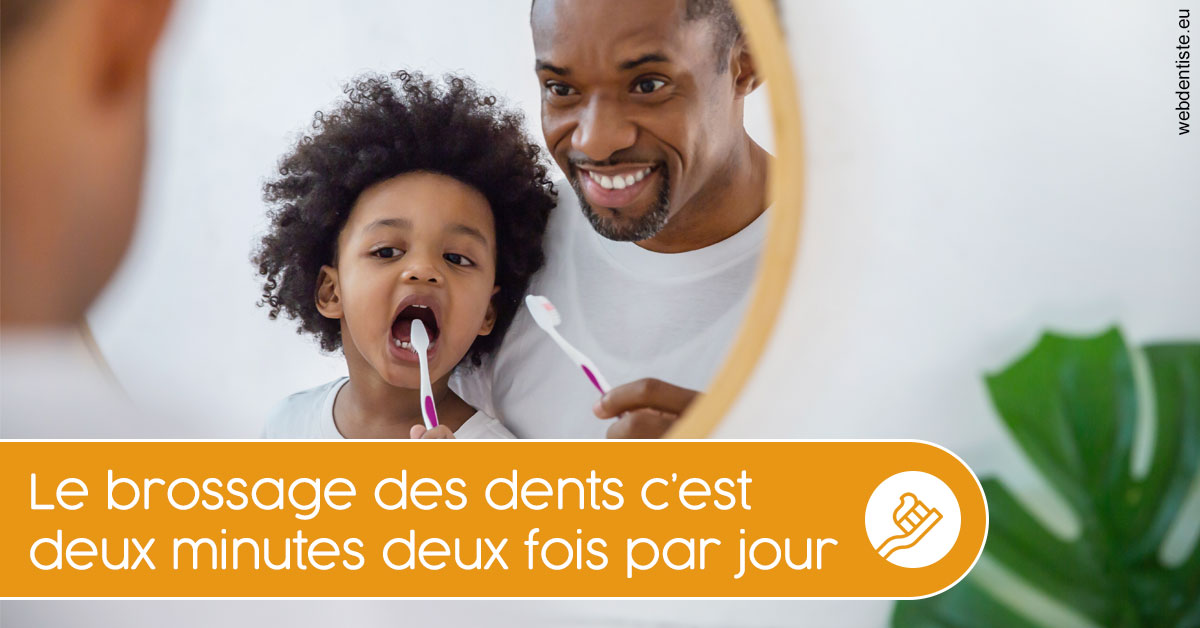 https://www.dentistes-lafontaine-ducrocq.fr/Les techniques de brossage des dents 2