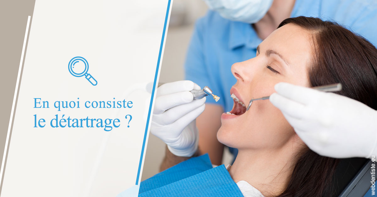 https://www.dentistes-lafontaine-ducrocq.fr/En quoi consiste le détartrage