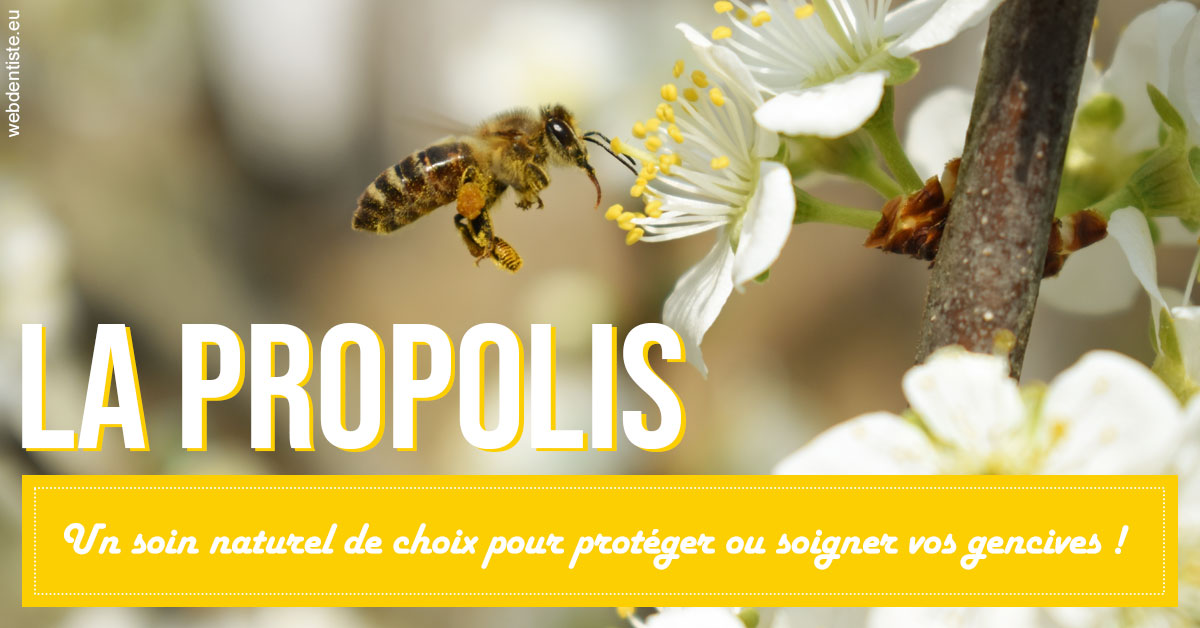 https://www.dentistes-lafontaine-ducrocq.fr/La PROPOLIS 2