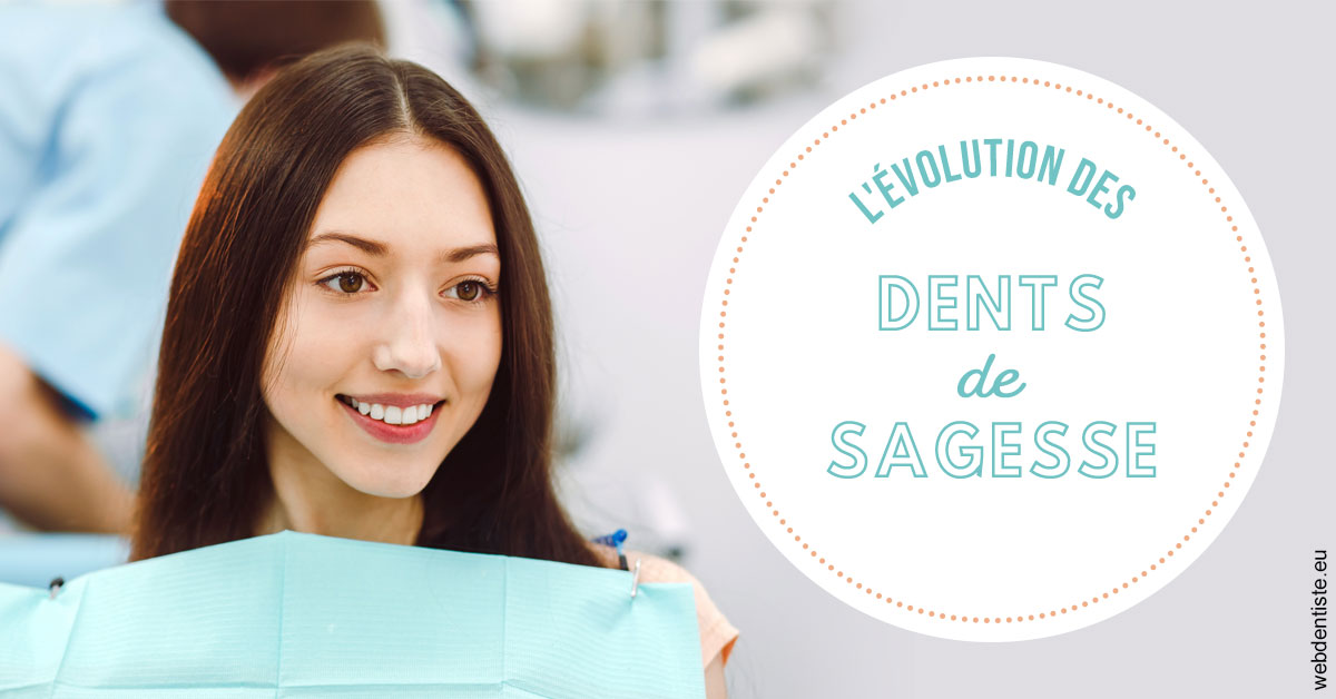 https://www.dentistes-lafontaine-ducrocq.fr/Evolution dents de sagesse 2
