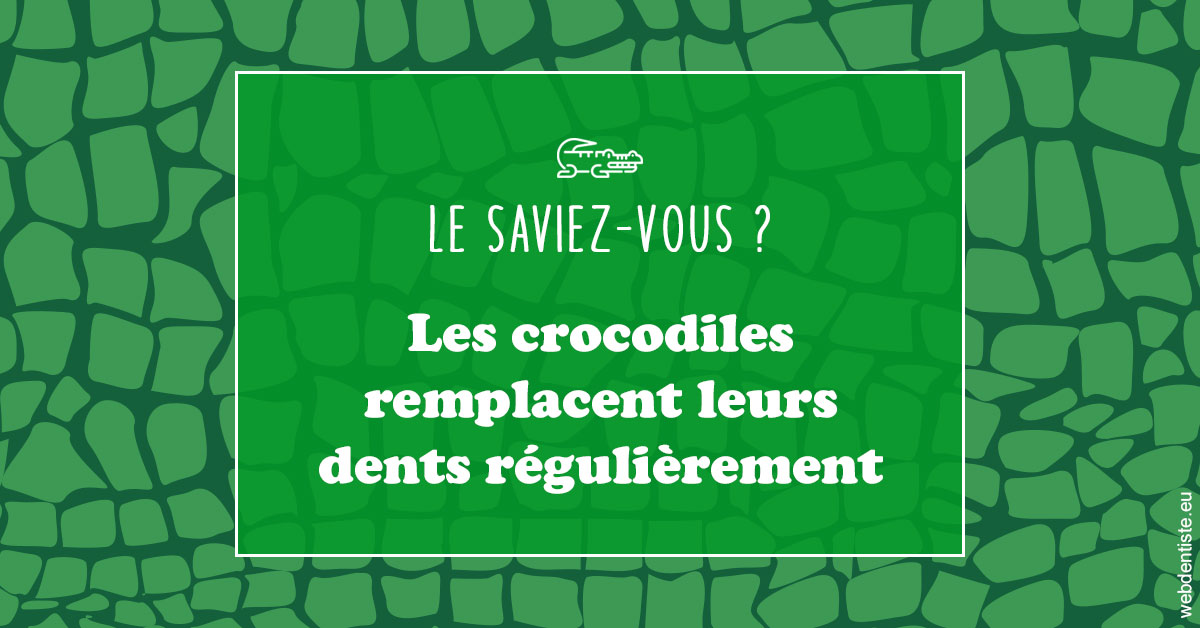 https://www.dentistes-lafontaine-ducrocq.fr/Crocodiles 1