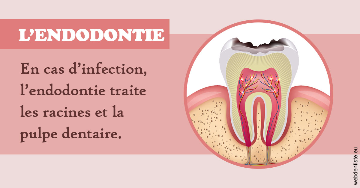 https://www.dentistes-lafontaine-ducrocq.fr/L'endodontie 2